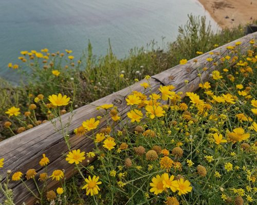 WhatsApp Image 2026-01-11 at 20.04.48