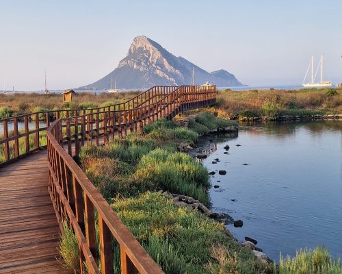 WhatsApp Image 2026-01-11 at 20.04.47