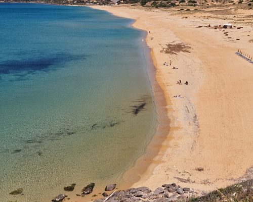 WhatsApp Image 2026-01-11 at 20.04.48 (1)